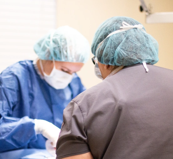 Veterinary Pet Surgery