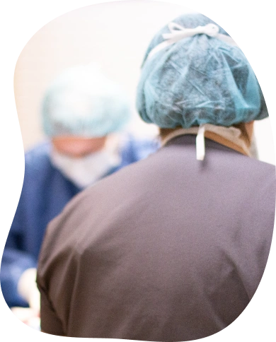 Veterinary Pet Surgery